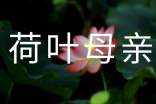 初中語文《荷葉母親》 導(dǎo)學(xué)案