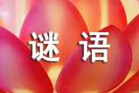 猜謎語作文