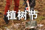 植樹節快樂的祝福語