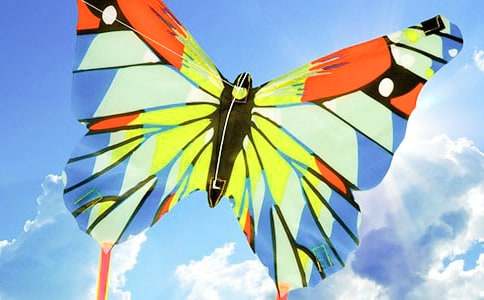 【通用】放風箏的作文