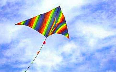 放風箏作文(精選83篇)