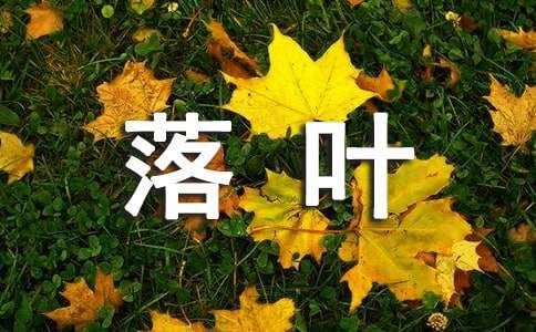 落葉歸根作文(精選36篇)