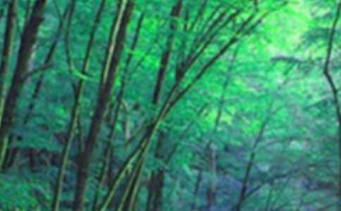 �P��ɭ�ַ������ă��㣨���x33ƪ��