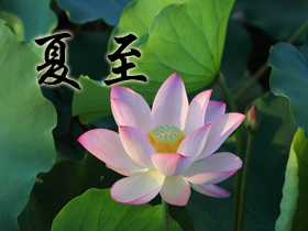 ����ף���Z(y��)