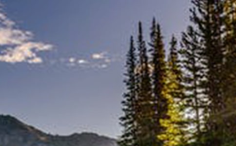 四季的風景的初中詩歌