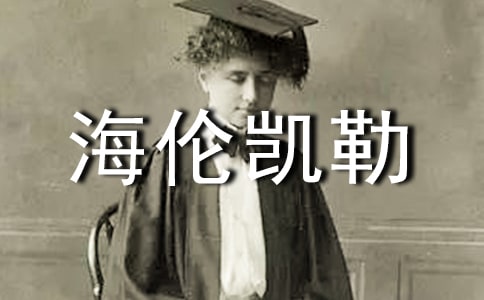 �������P�ա��x���450��